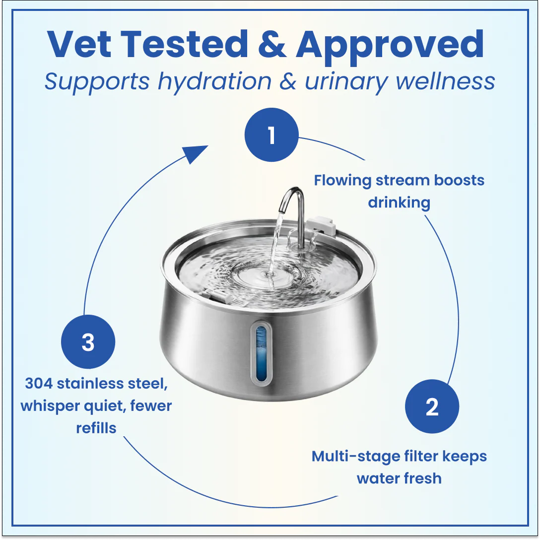 Stainless Steel Water Fountain