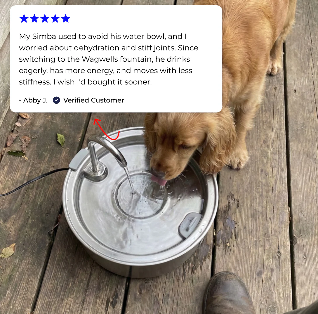 Stainless Steel Water Fountain