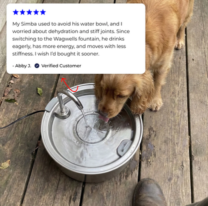 Stainless Steel Water Fountain